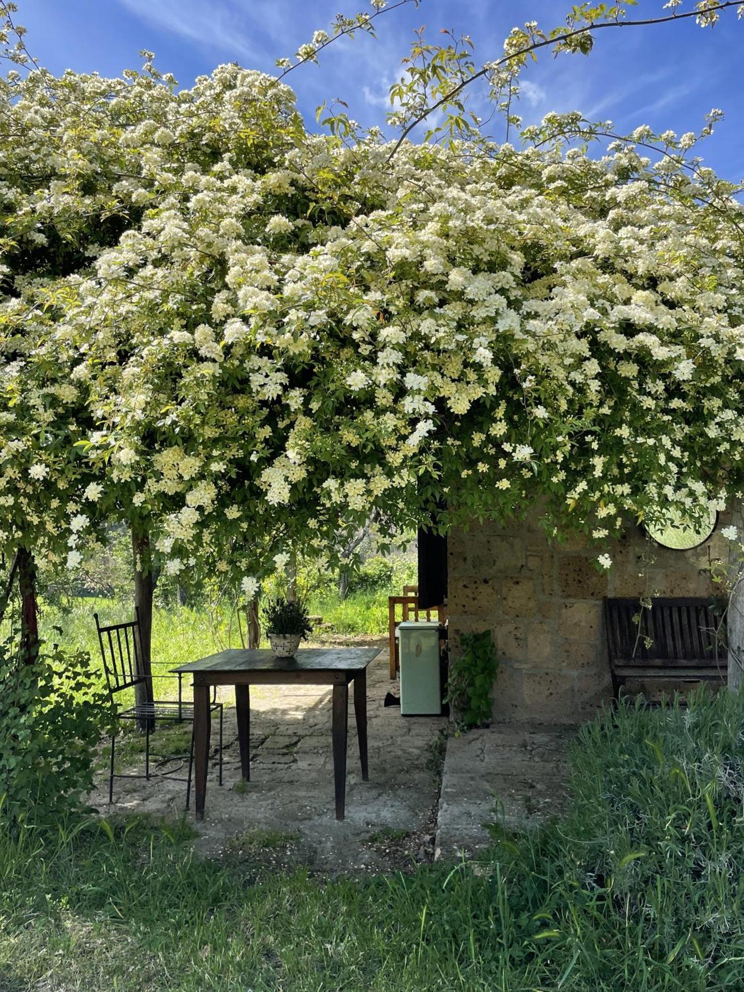 Вилла Agriturismo Locanda Settimo Cielo Lubriano Экстерьер фото