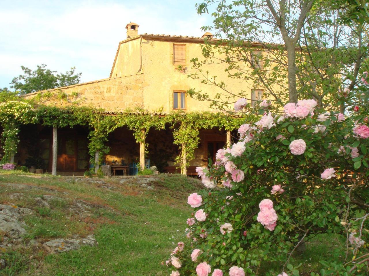 Вилла Agriturismo Locanda Settimo Cielo Lubriano Экстерьер фото